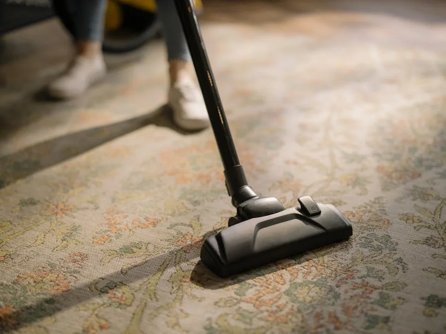 High-quality stock photograph by cottonbro studio perfect for articles about steam, cleaning, bad, your, carpet