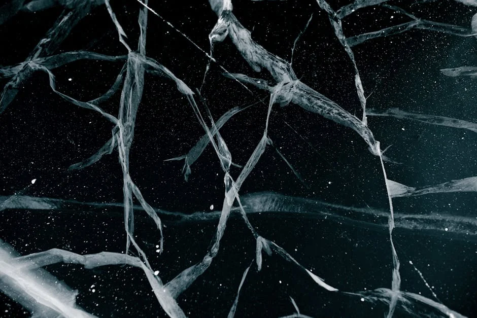 High-quality stock photograph by Julia Volk perfect for articles about effective, strategies, prevent, snow, ice