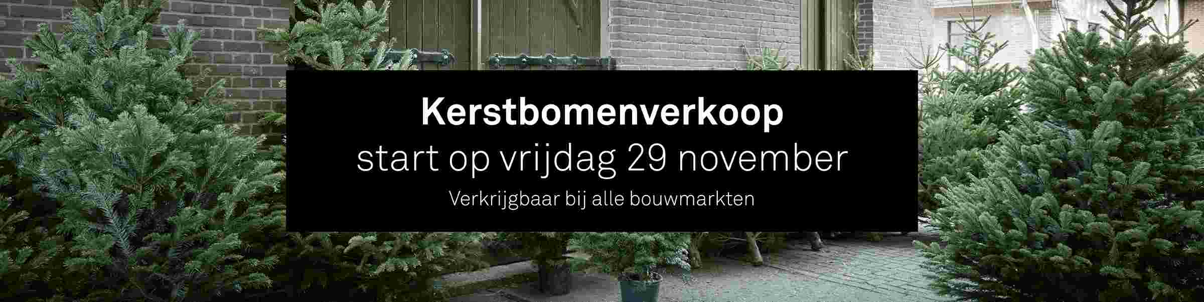 Start kerstbomen verkoop in de bouwmarkt