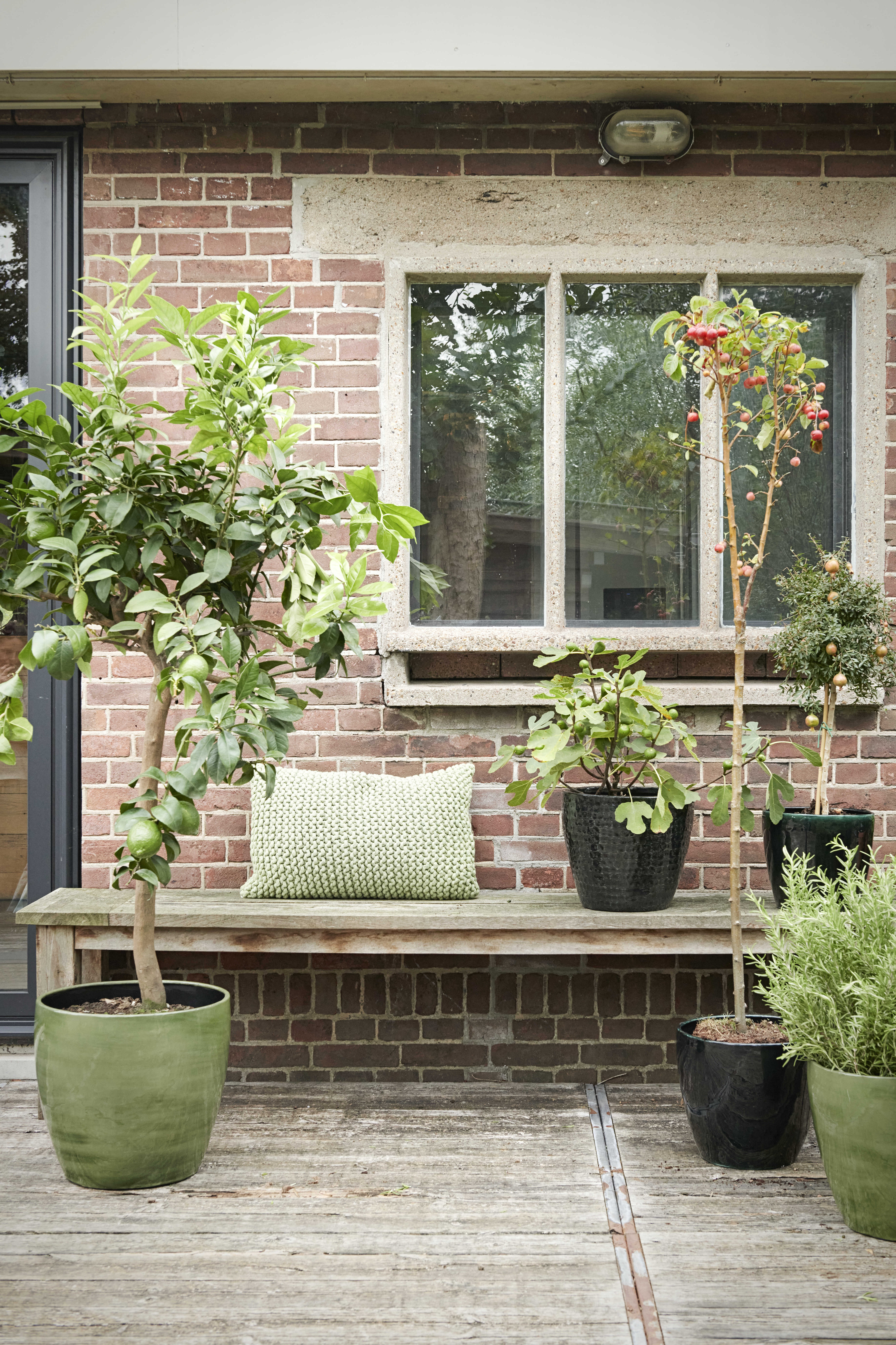Alles voor de klus in jouw tuin: tuin inspiratie