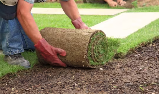 Tips voor het leggen van graszoden