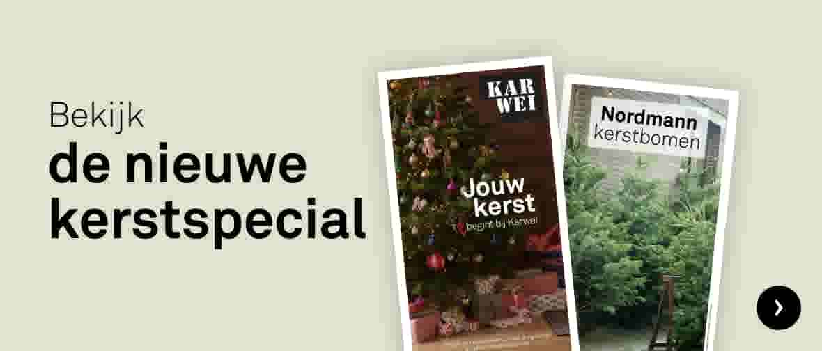 Kerstspecial