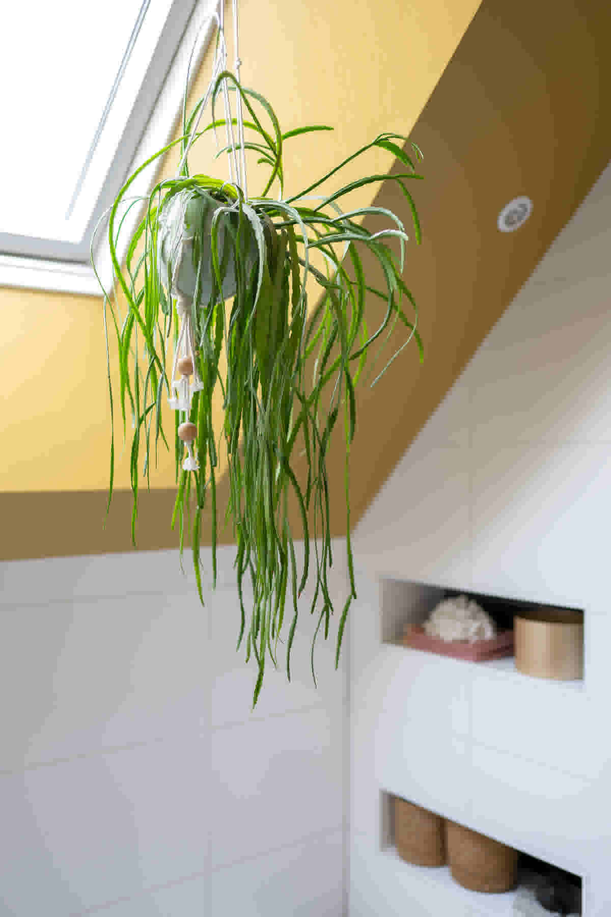 Hangplant badkamer