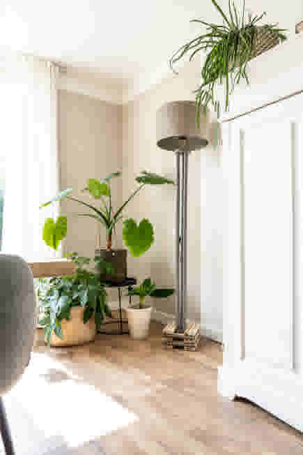 Plantenhoek in de woonkamer naast een lamp en kast