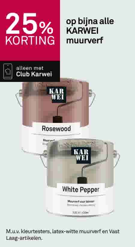 25% korting op bijna alle KARWEI muurverf
