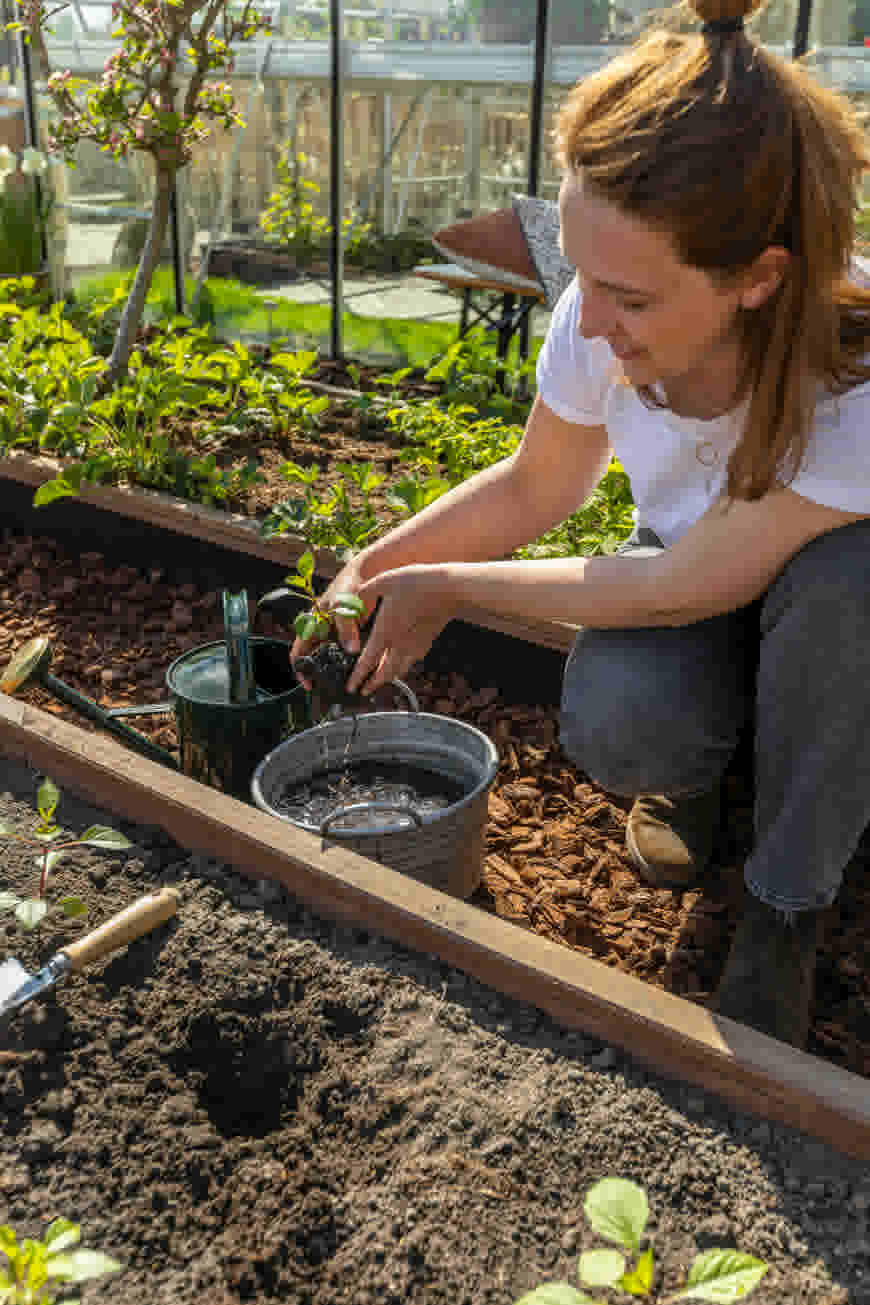 Gat maken voor het plantje