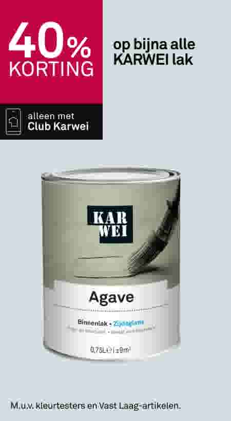 40% korting op bijna alle KARWEI lak