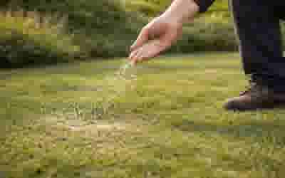 Hand strooit meststof of zaad over een groen gazon, met zichtbare korrels die in een boog vallen.