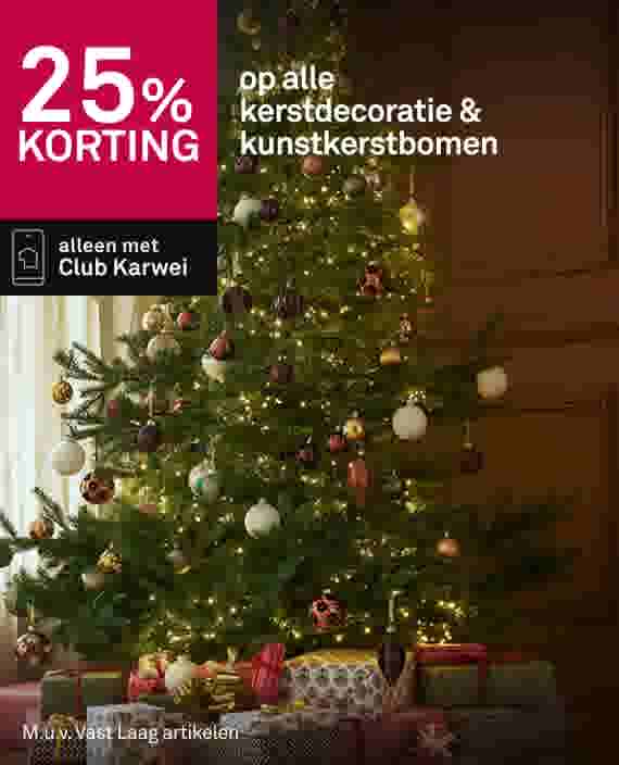 25% korting op  alle kerstdecoratie