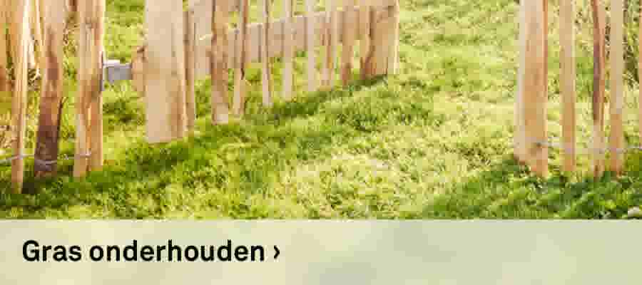 Gras onderhouden
