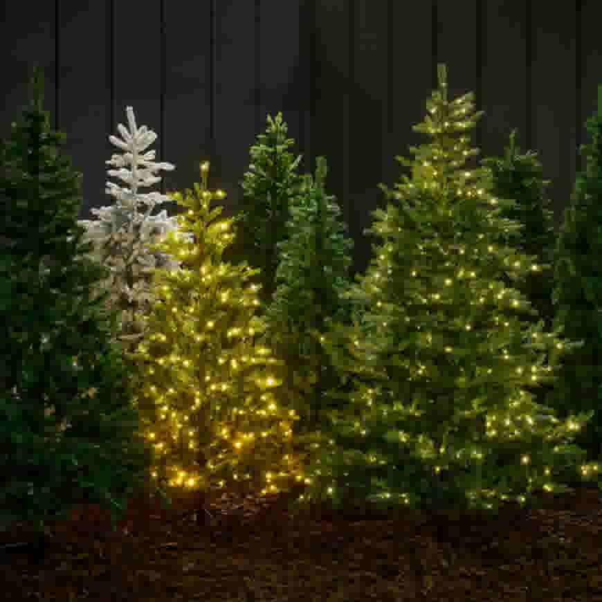 Diverse kerstbomen op een rij, waaronder groene en een witte, versierd met warme lichtjes tegen een donkere achtergrond.