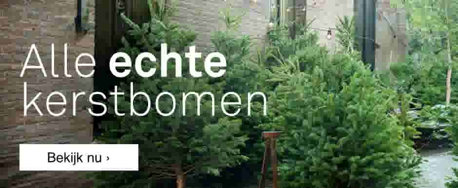 Echte kerstbomen Nordmann