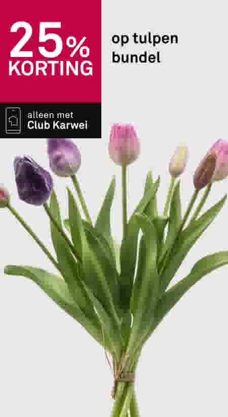 25% korting op tulpen bundel