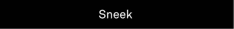 Sneek