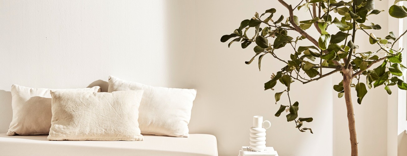 Beige muur achter bed en plant