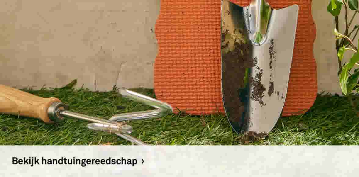 Bekijk handtuingereedschap