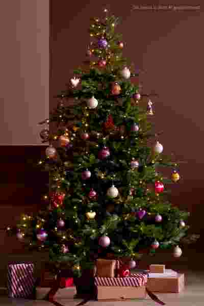 Warme winter woonkamer met een prachtig opgetuigde kerstboom met veel cadeaus, helemaal in de Tropical fun wooninspiratie