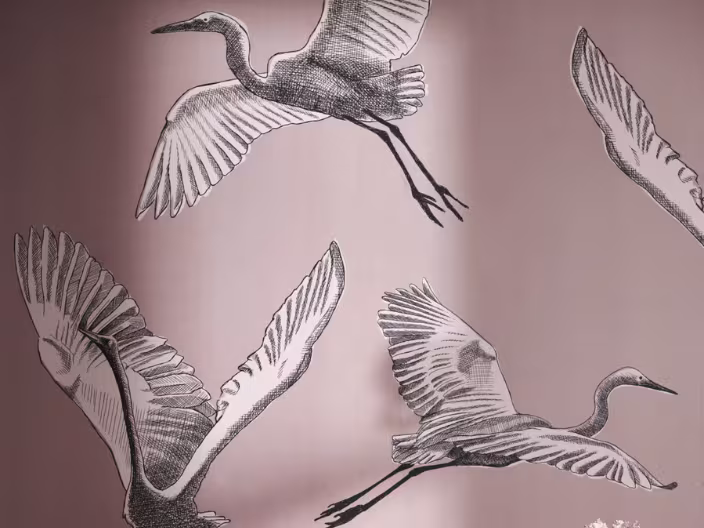 roze vtwonen behang met vogels