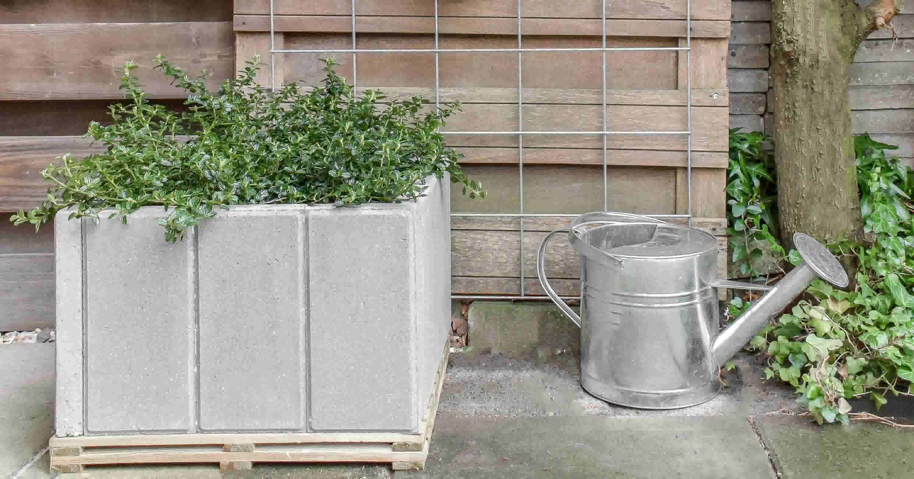 Maak zelf plantenbak van beton - Karwei