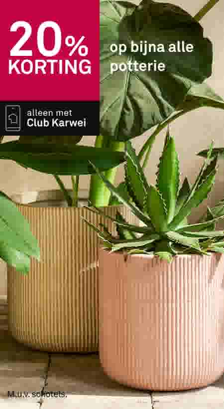 20% korting op bijna alle potterie