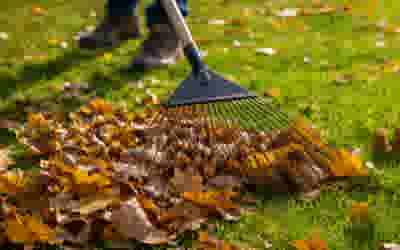 Gevallen bladeren verwijderen van het gazon