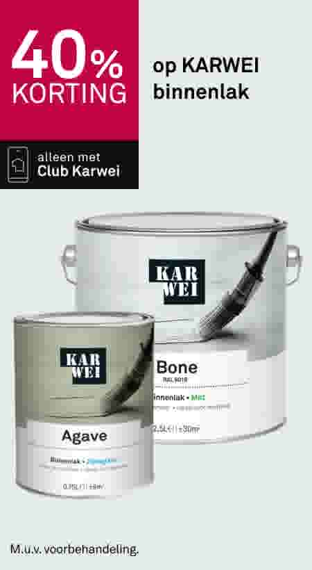 40% korting op KARWEI binnenlak, alleen met Club Karwei. Twee verfblikken in kleuren Agave en Bone met penselen.