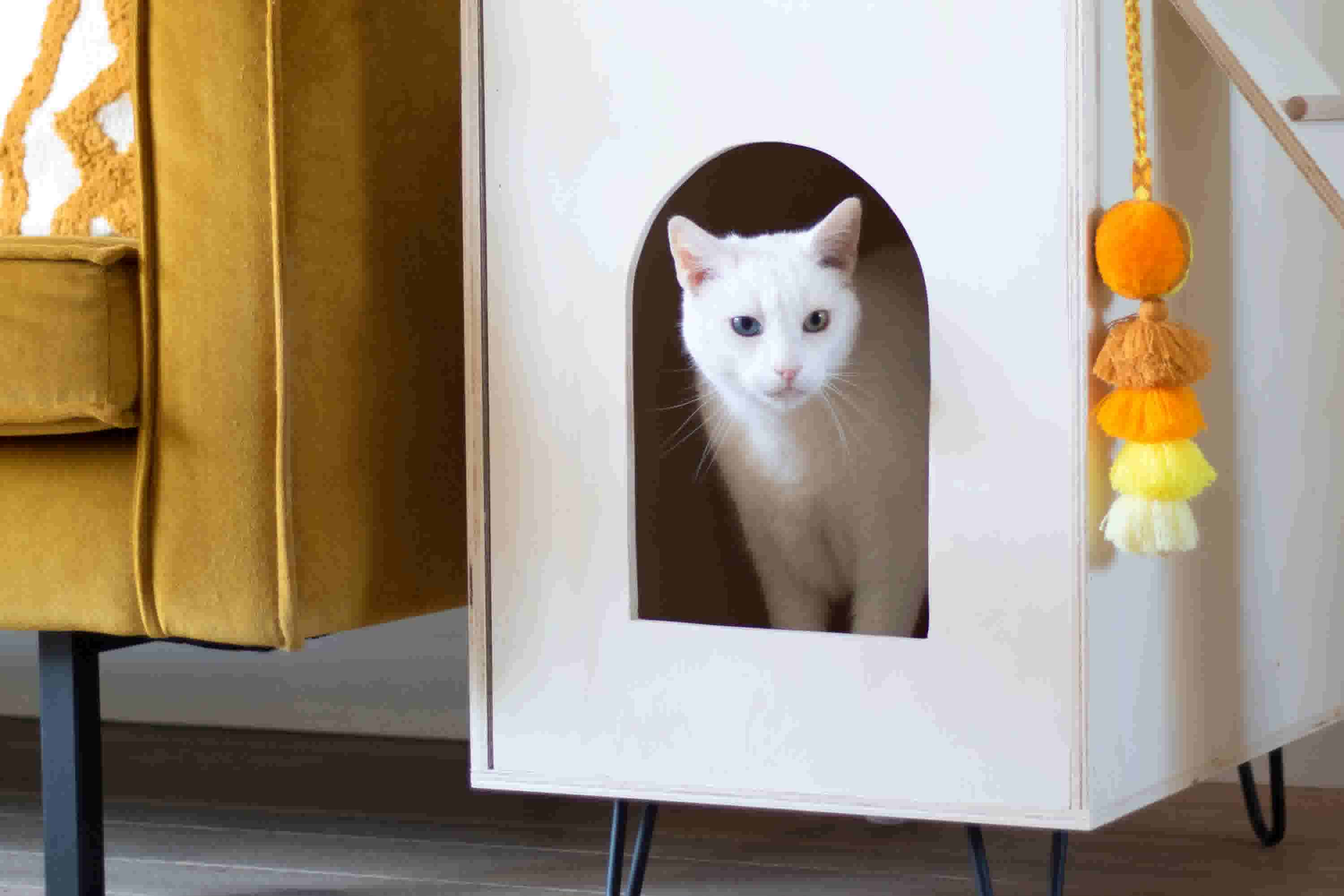 DIY kattenhuisje op pootjes; zo maak je hem! 