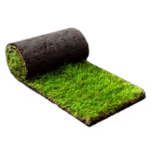 Graszoden