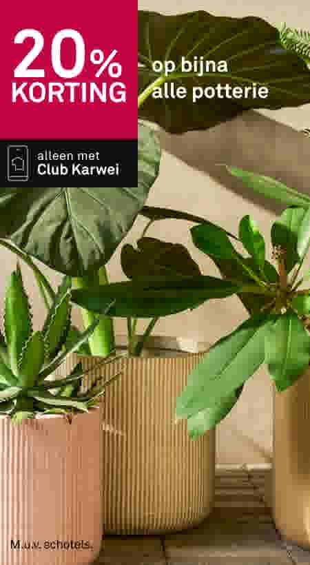 20% korting op bijna alle potterie