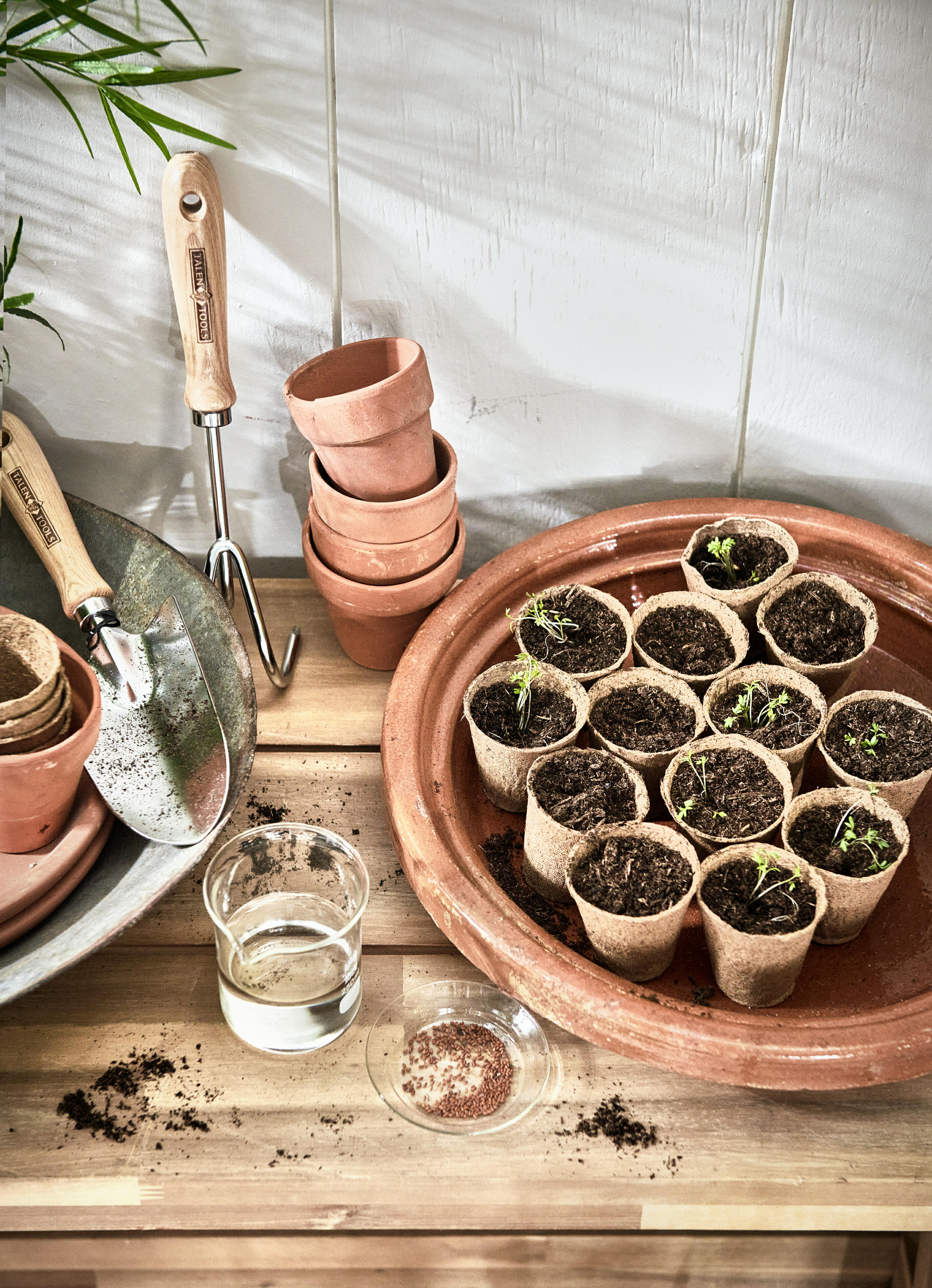 Pluk je Geluk: pluktuin inspiratie van Karwei