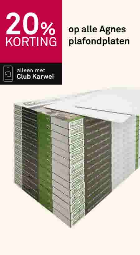 20% korting op alle Agnes plafondplaten. Alleen met Club Karwei. Stapel groene en grijze Agnes plafondplaten dozen.