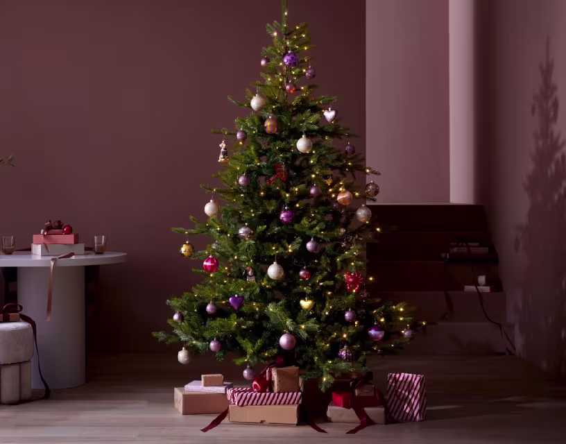 Haal de Kerst in huis