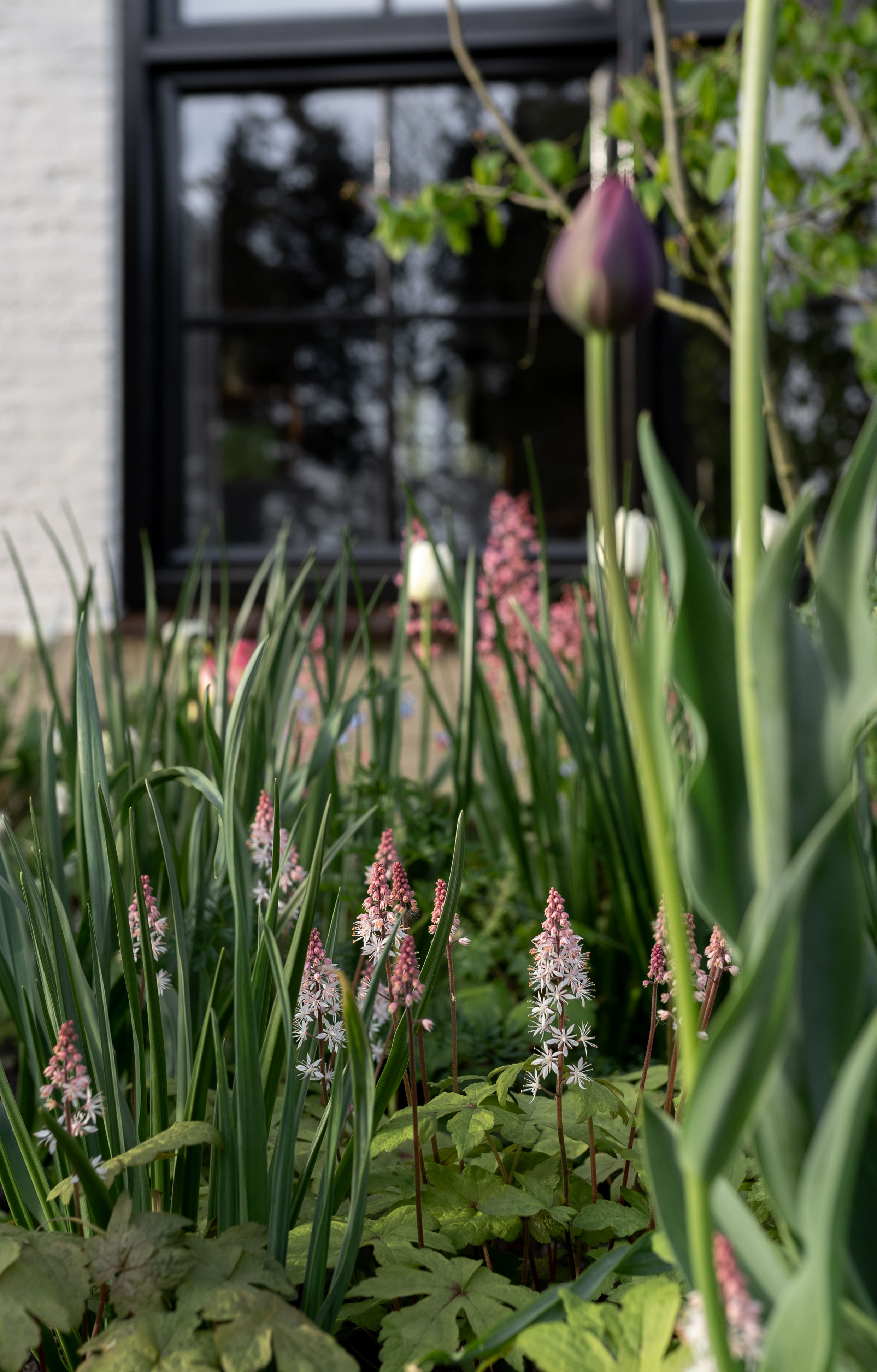 Tuinontwerpen voor een kleine stadstuin
