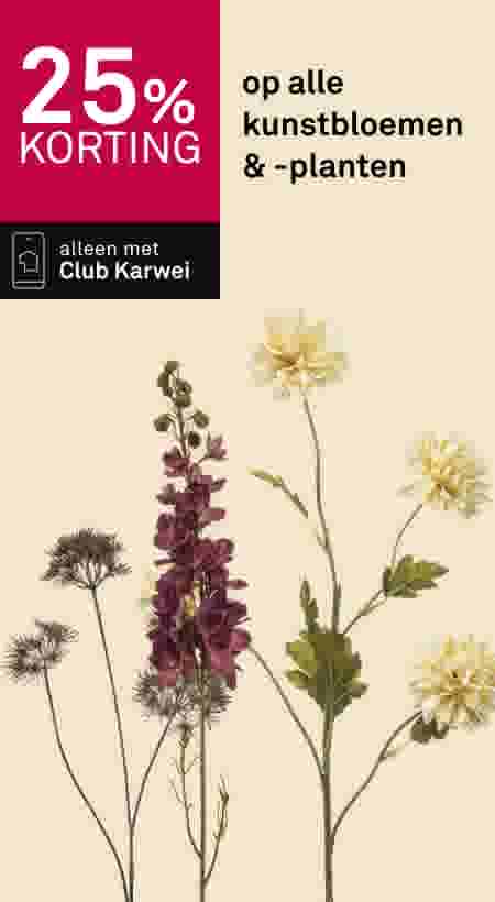 25% korting op alle kunstbloemen en -planten, alleen met Club Karwei. Afbeelding toont diverse kunstbloemen.