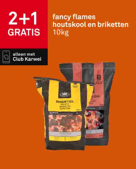 2+1 gratis fancy flames houtskool en briketten 10kg