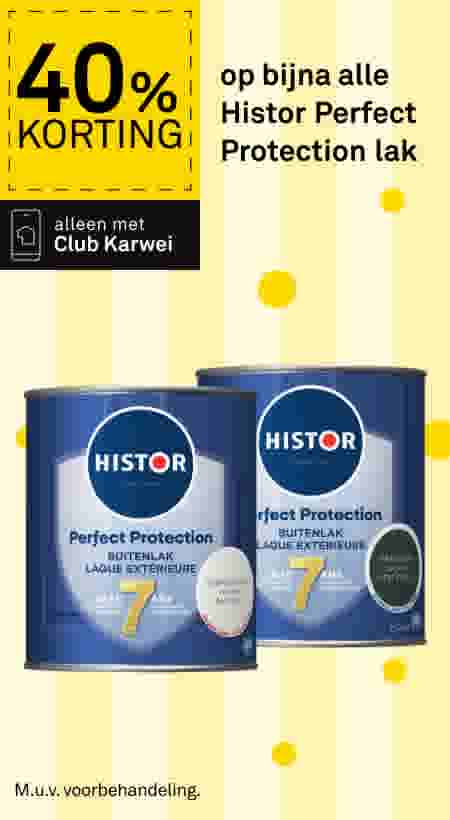 40% korting op bijna alle Histor Perfect Protection lak