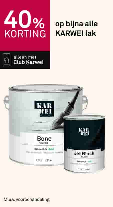 40% korting op alle KARWEI lak. Alleen met Club Karwei. Twee verfblikken Bone en Jet Black.