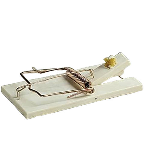 Ongediertebestrijding