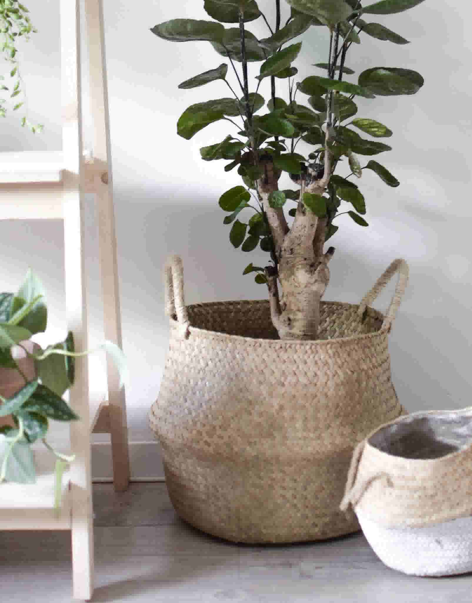 DIY-plantenstandaard-detail-2-kopie-e1536835054765