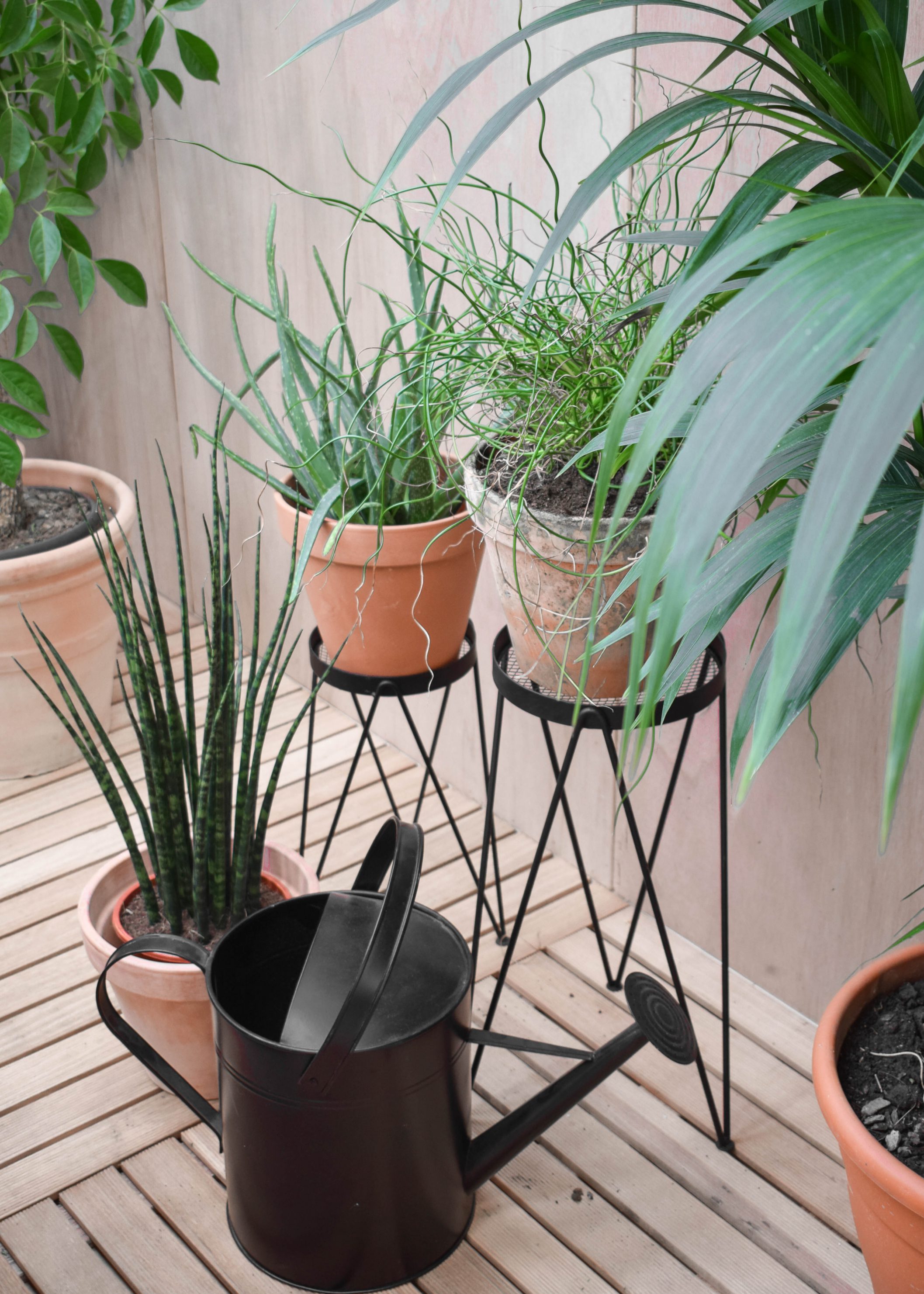 Groen, groener, groenst: ga voor botanisch! 