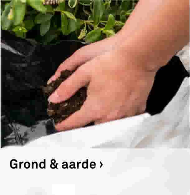 Grond & aarde