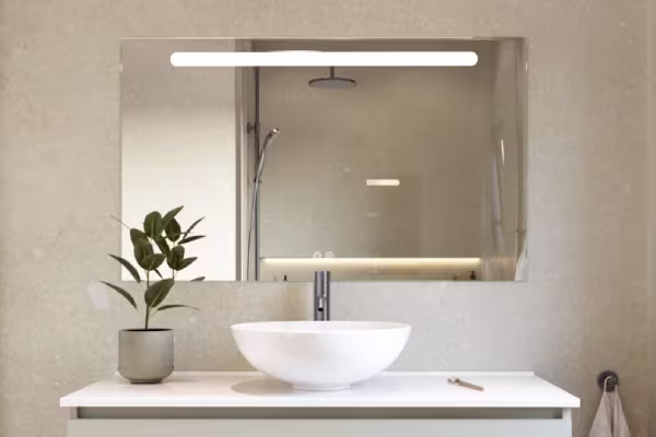 Moderne badkamer met witte waskom op wit meubel, rechthoekige spiegel met verlichting en een kleine groene plant in pot.