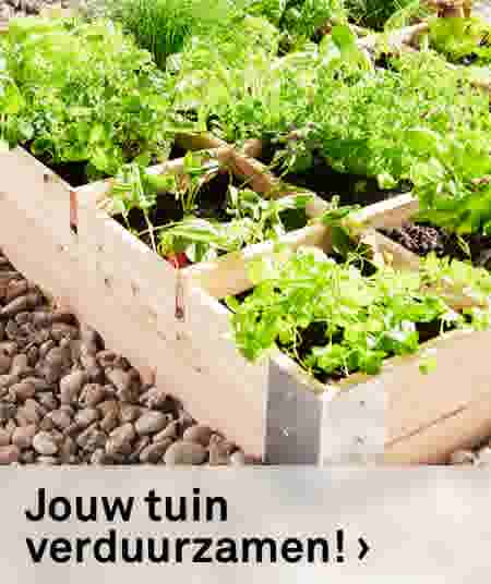 Jouw tuin verduurzamen!
