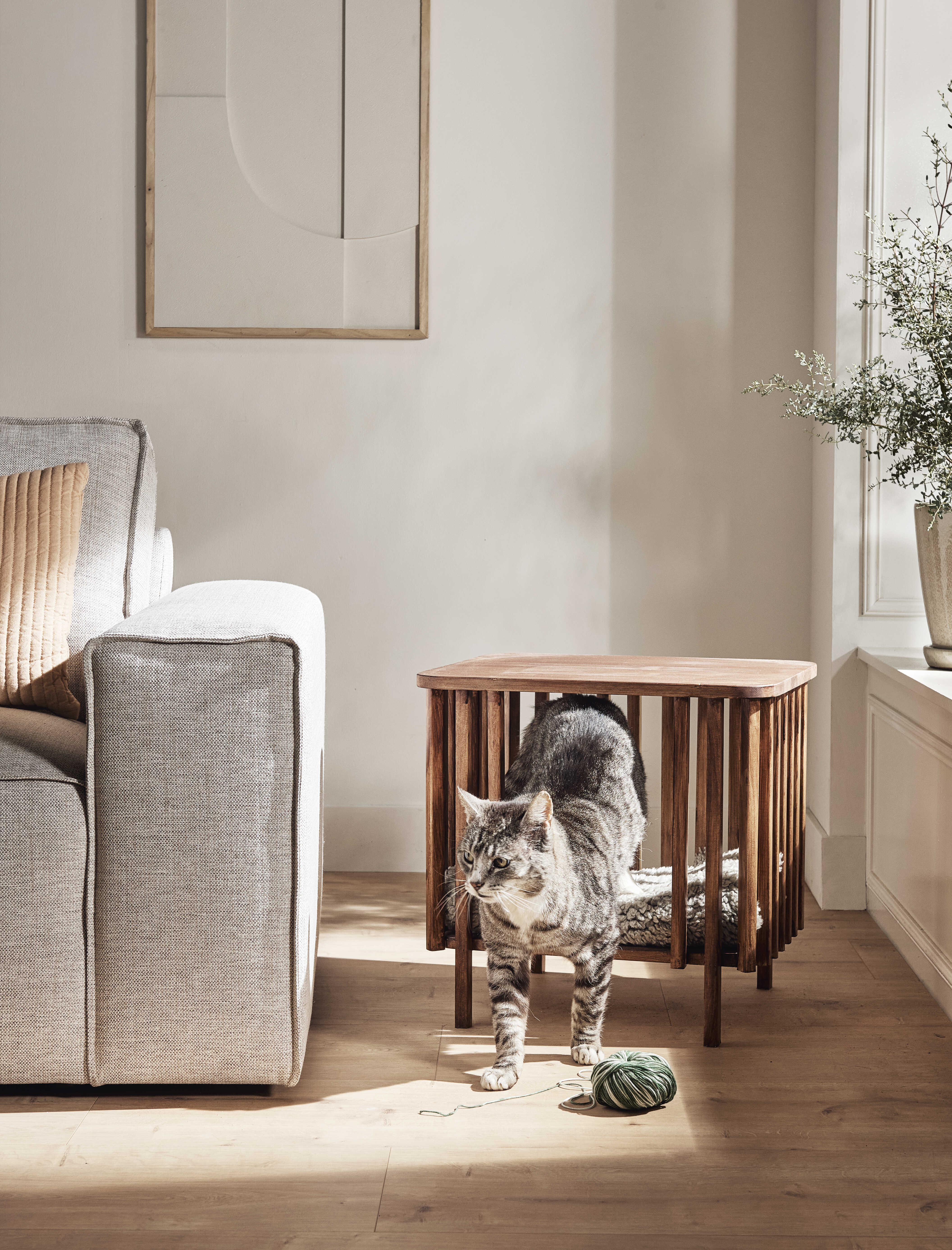 DIY ideeën voor huisdieren