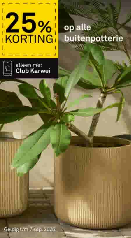 Twee gouden buitenpotten met groene planten op een terras. Aanbieding: 25% korting op alle buitenpotterie, alleen met Club Karwei.