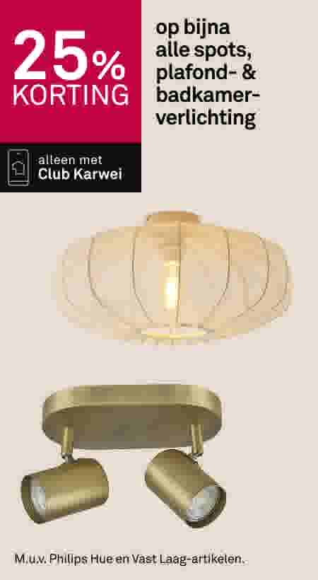 25% korting op bijna alle spots,  plafond- & badkamerverlichting