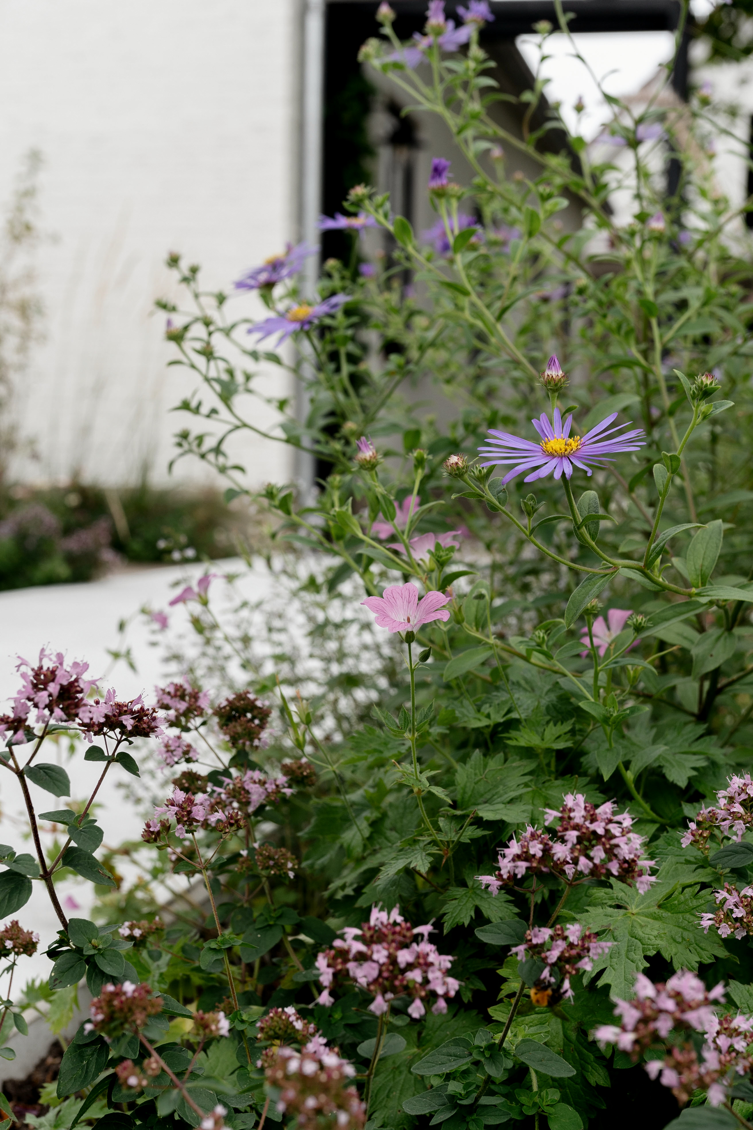 Tuintips voor een mooie tuin met veel planten