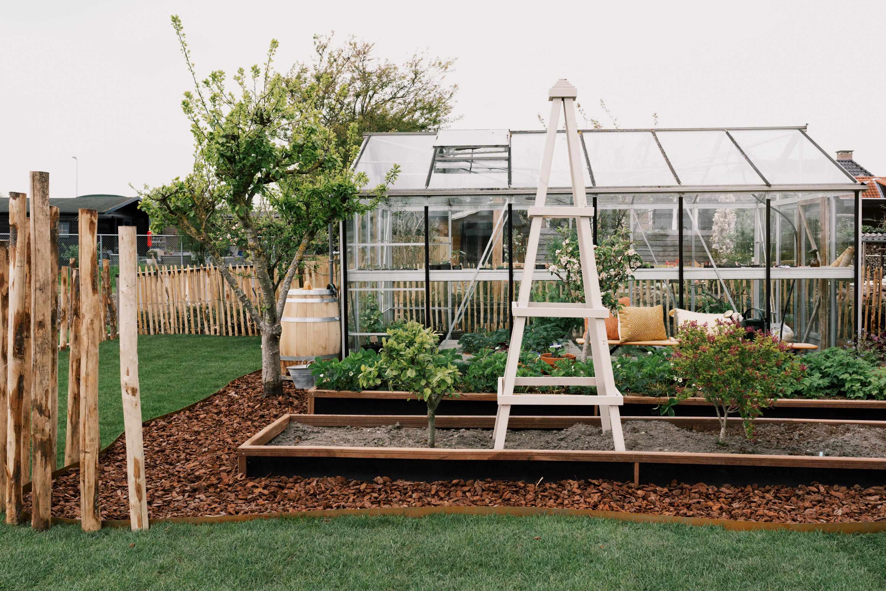 DIY: Klimrek voor je planten maken | Karwei