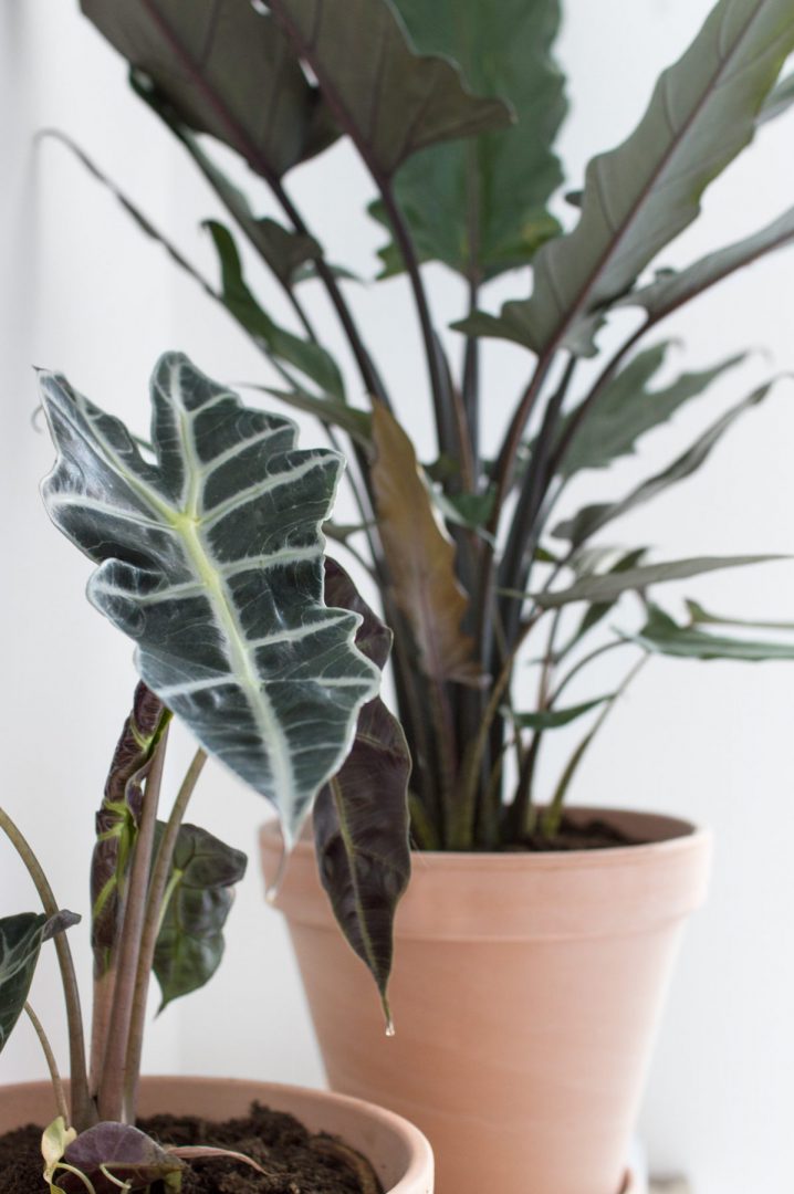 Wandbank met kledingrek maken voor in de slaapkamer