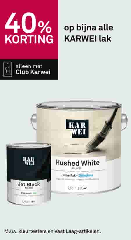 40% korting op bijna alle KARWEI lak